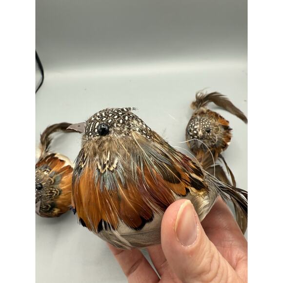 Set of 4 Feathered Clip-On Birds Long Tail Artificial Craft Décor Ornament Lot - Picture 2 of 7